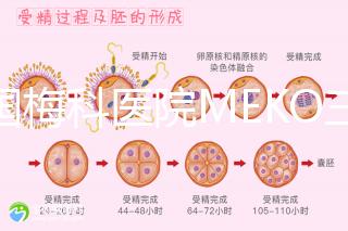 泰國(guó)梅科醫(yī)院MEKO三代試管嬰兒,不靠中介翻譯安心好孕