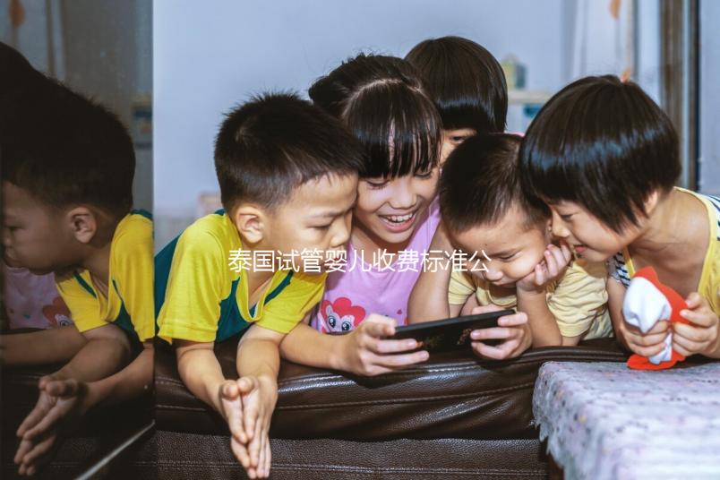 泰國試管嬰兒收費標(biāo)準(zhǔn)公布,藥品費用占大多數(shù)