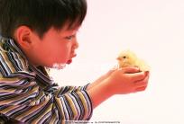 泰國 第三代 試管嬰兒（泰國 第三代 試管嬰兒費用）