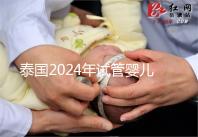 泰國2024年試管嬰兒攻略索引：證書，結(jié)婚證是硬條件