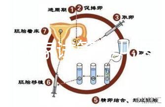 浙江27家試管嬰兒醫(yī)院成功率排名公開(kāi)，邵逸夫醫(yī)院位居前十