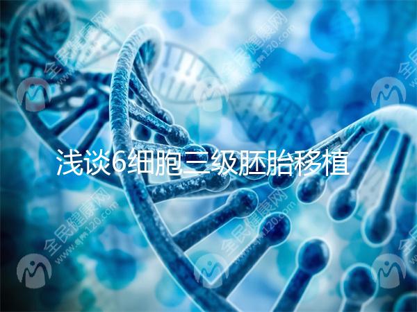 淺談6細胞三級胚胎移植成功率高低，是養還是移看完便知