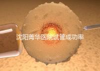 沈陽菁華醫(yī)院試管成功率高嗎?教你4招提升胚胎著床機(jī)會(huì)