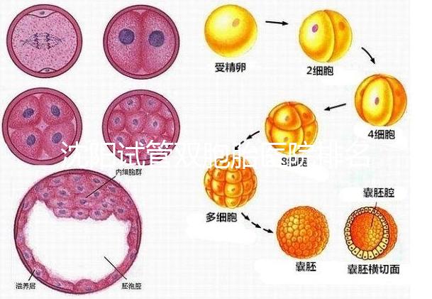 沈陽試管雙胞胎醫院排名速覽,60s告訴你皇姑區有哪些