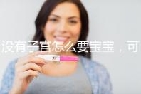 沒(méi)有子宮怎么要寶寶,可以做試管嬰兒?jiǎn)幔? /></div><small lang=