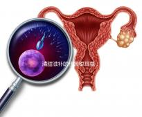 清甜滋補的桂圓銀耳羹，孕婦食用不再擔心上火