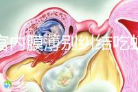 子宮內(nèi)膜薄別糾結(jié)吃蝦可不可以補上來了,效果好壞一看便知