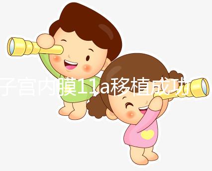 子宮內膜11a移植成功率解析，好不好、適不適合著床看這