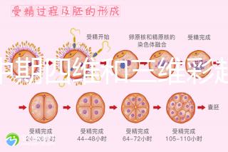 孕中期四維和三維彩超檢查區別真不小,看完便知誰更好