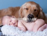孕期如何預防新生兒血管瘤？