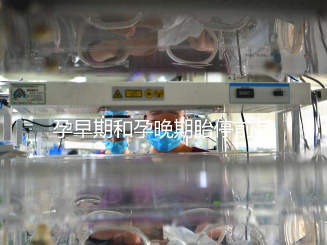 孕早期和孕晚期胎停前其實都有暗示信號，身體不會騙人