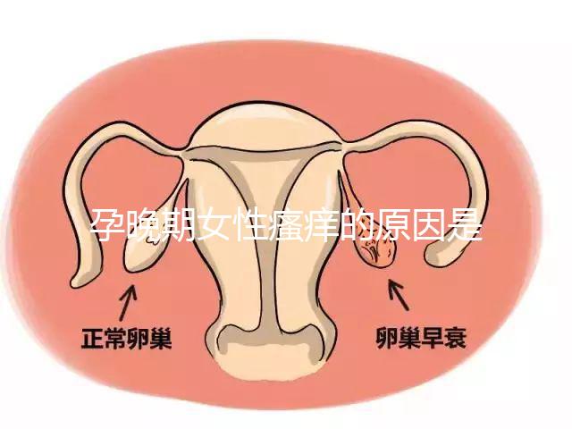 孕晚期女性瘙癢的原因是什么?