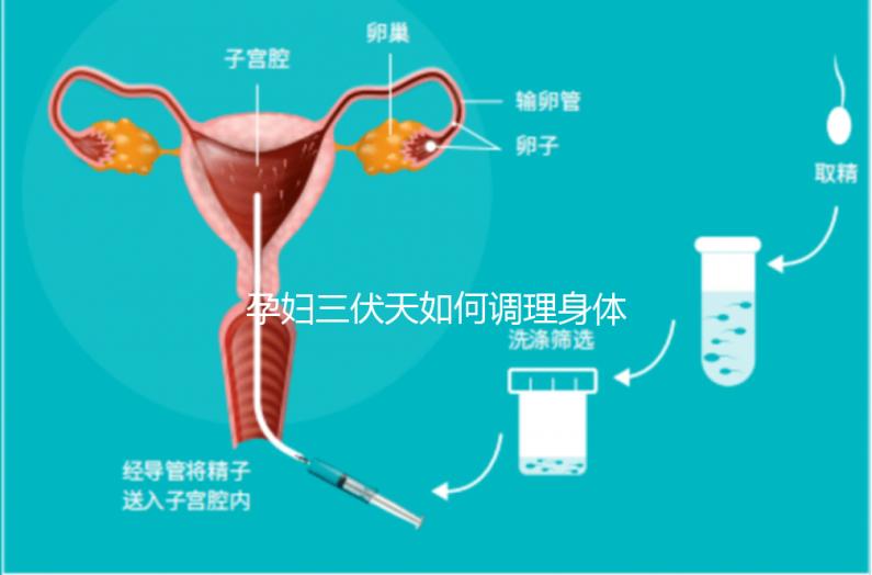 孕婦三伏天如何調(diào)理身體看這,專(zhuān)家:不建議曬太陽(yáng)補(bǔ)鈣