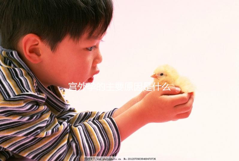 宮外孕的主要原因是什么？