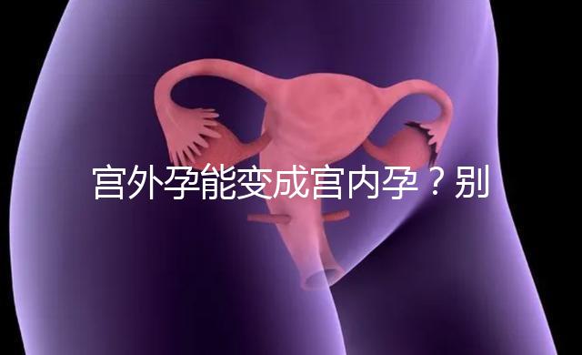 宮外孕能變成宮內孕？別瞎說！會出事兒的！