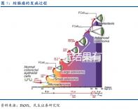宮頸TCT檢查結(jié)果有幾種 對檢驗結(jié)果進行科學(xué)解讀