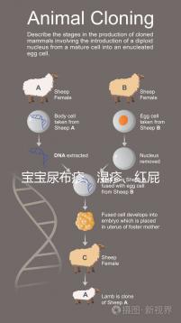 寶寶尿布疹、濕疹、紅屁股傻傻分不清？4點區別輕松診斷