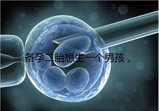 備孕二胎想生一個男孩，在鞏義市能做試管嬰兒嗎？