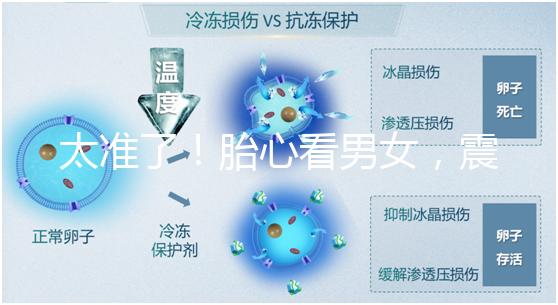 太準(zhǔn)了！胎心看男女，震驚結(jié)果大于150就一定是女孩