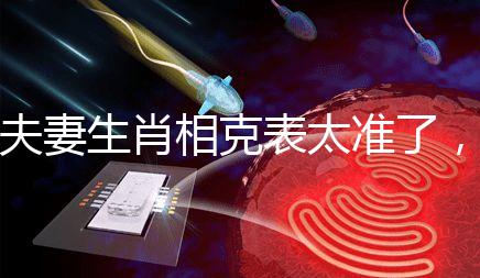 夫妻生肖相克表太準(zhǔn)了,丑牛和午馬結(jié)合真犯“沖”