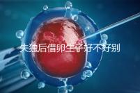 失獨(dú)后借卵生子好不好別還不造，供卵or領(lǐng)養(yǎng)過來人感受更深