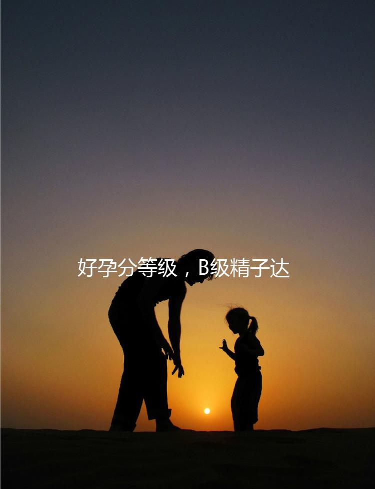 好孕分等級,B級精子達(dá)這個正常標(biāo)準(zhǔn)“孕路”無阻