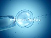 女性懷孕多久?胎動多久?