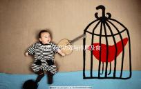 女貞子的功效與作用及食用方法（女貞子會讓雌激素增高嗎）