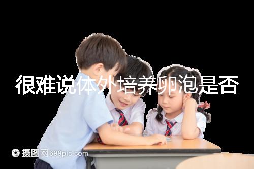 很難說體外培養(yǎng)卵泡是否懷孕竇卵泡質量高或100%實現(xiàn)夢想