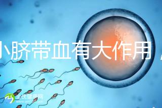 小小臍帶血有大作用，不僅能治療白血病還能拯救腦癱兒