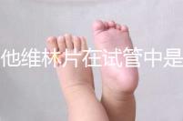 屈他維林片在試管中是否有副作用,導(dǎo)致胎停不是空穴來(lái)風(fēng)