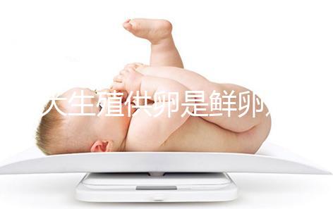 山大生殖供卵是鮮卵還是凍卵分情況,別還不清楚質量如何