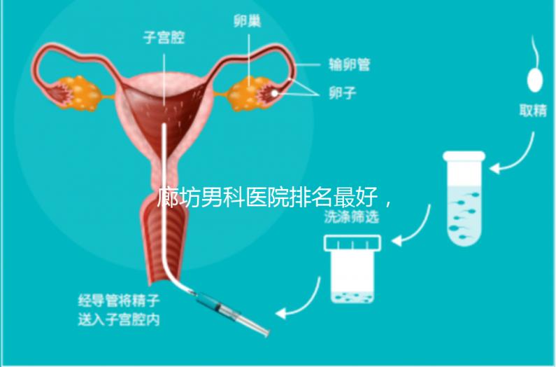 廊坊男科醫(yī)院排名最好,醫(yī)院出爐!廣陽這些機構可以排隊