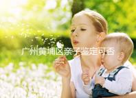 廣州黃埔區(qū)親子鑒定可否直接上戶口，看完2024政策就明了