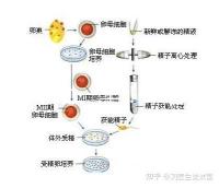選對成功一半！來看看海南哪家醫(yī)院能做三代試管嬰兒