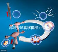 邵逸夫試管移植群(邵逸夫試管移植費(fèi)用)
