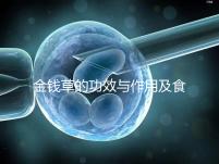 金錢草的功效與作用及食用方法(金錢草泡水喝的功效)