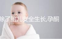 除了胎兒安全生長(zhǎng),孕酮的這4大作用你都了解嗎?