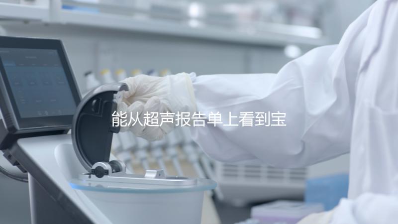 能從超聲報告單上看到寶寶的性別嗎？