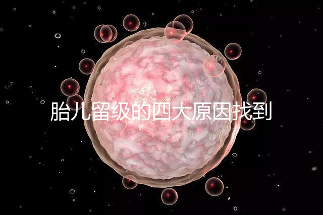 胎兒留級的四大原因找到了！多半和媽媽太懶不運動有關系