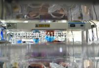 胚胎移植第41天出血是流產(chǎn)信號?這幾種出血沒必要擔(dān)心