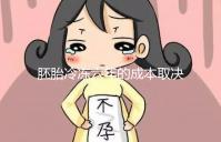 胚胎冷凍六年的成本取決于機構，解凍后是否可以移植