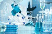 腹瀉 飲食(腹瀉一日三餐食譜)