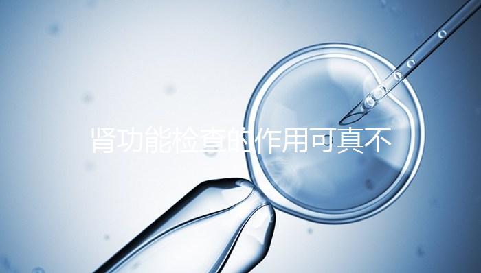 腎功能檢查的作用可真不少，讓腎臟疾病無所遁形