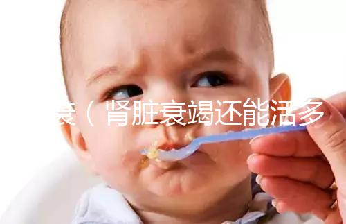 腎衰(腎臟衰竭還能活多久)