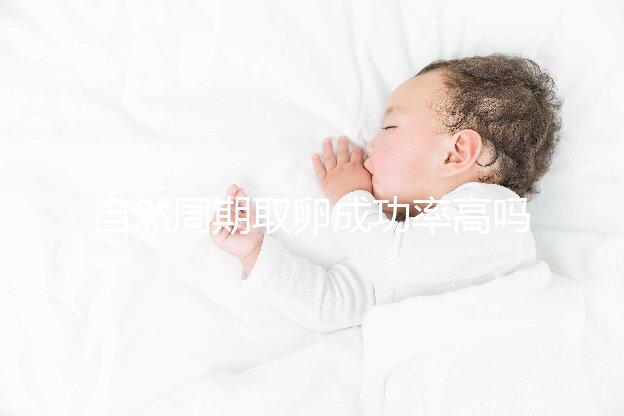 自然周期取卵成功率高嗎？過來人淺談一次成功經驗