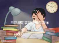 自然周期囊胚移植是怎樣的？5個(gè)步驟囊括所有流程