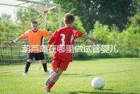 葫蘆島在哪里做試管嬰兒好？盛京和202醫(yī)院是熱門選擇