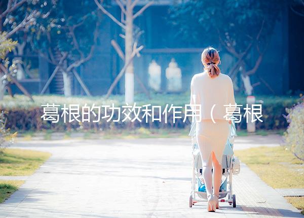 葛根的功效和作用（葛根的功效和作用及禁忌）