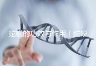 蛇蛻的功效與作用(蛇蛻壯陽的功效)